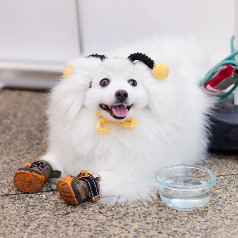 kirklandurbansunsetmarket8-15-19