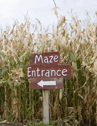 fb22a1ae-d69b-4908-8df0-82e384a80130-Corn_Maze_3_-_Getty_Images